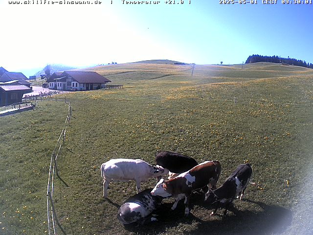 Webcam in Oberstaufen